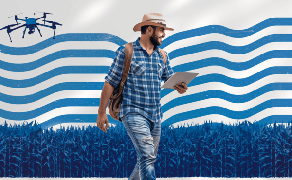 O Mercado Agro – Estudos de Inteligência Competitiva do Polo Sebrae Agro