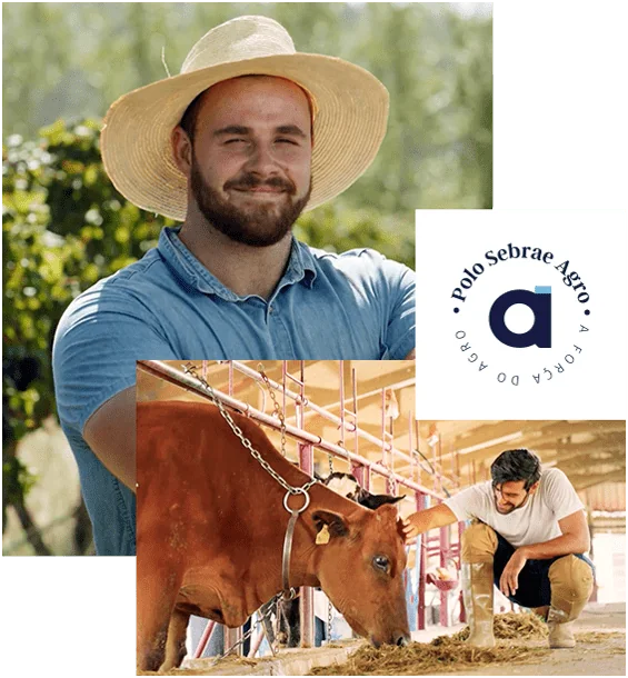 Polo Sebrae Agro