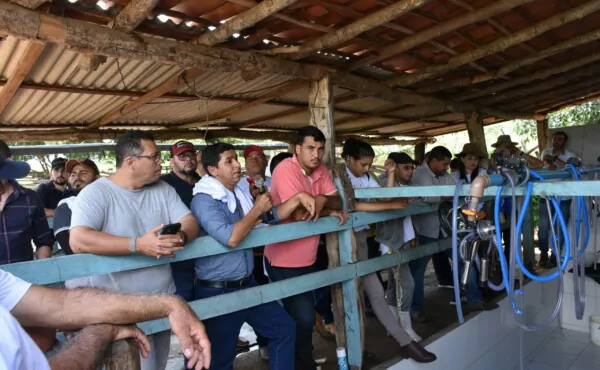 Projeto Agronordeste Parnaíba muda realidade de produtores de leite na região